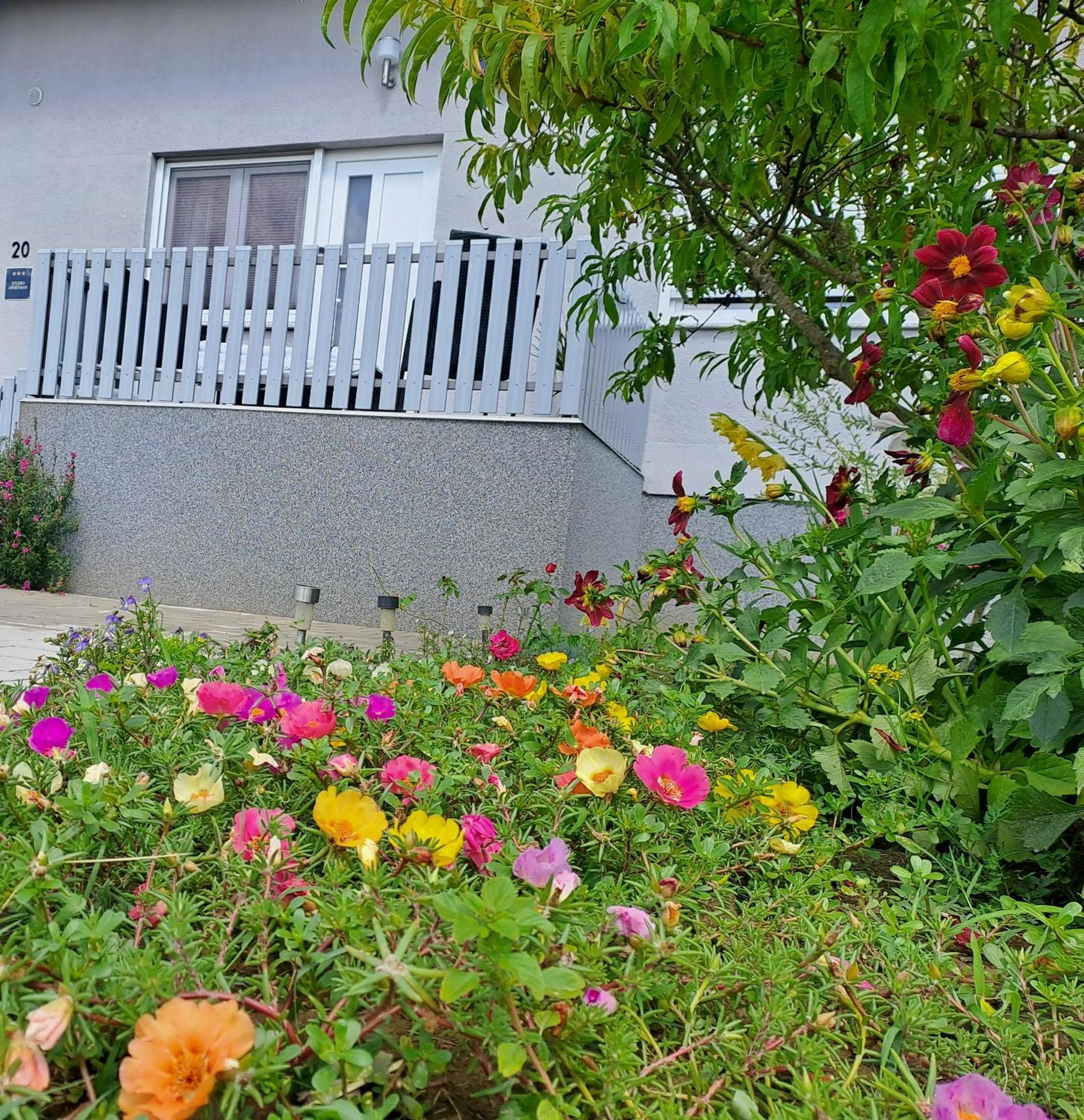 Studio Apartman Draga Velika Ludina Exterior foto